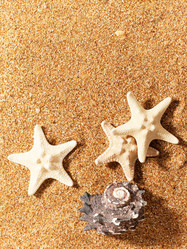 Similar image 1169153