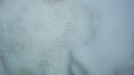 Similar image 1169181