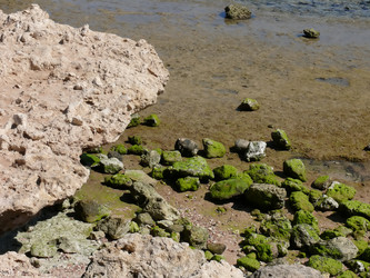 Similar image 1169286