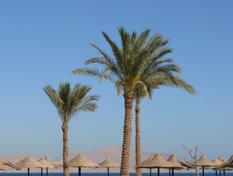 Similar image 1169287