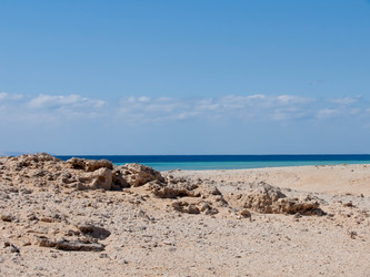 Similar image 1169288