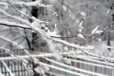 Similar image 1169293