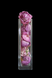 Similar image 1169296