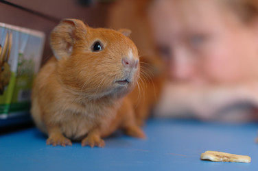 Similar image 1169308