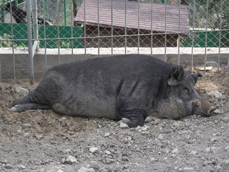 Similar image 1169313