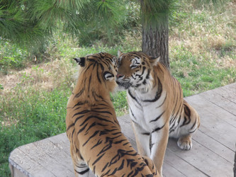 Similar image 1169314