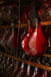 Similar image 1169349