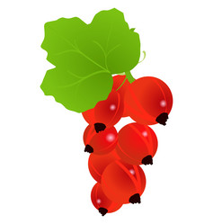 Similar image 1169380