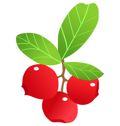 Similar image 1169385