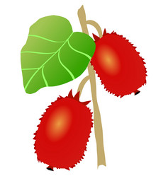 Similar image 1169397