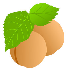 Similar image 1169398