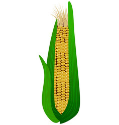 Similar image 1169409