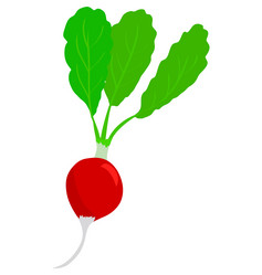 Similar image 1169411