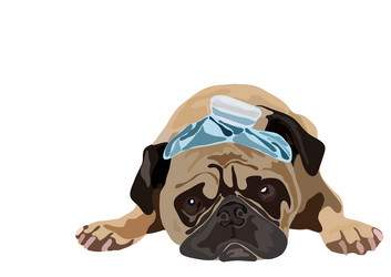 Similar image 1169446