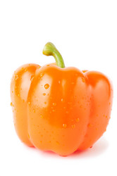 Similar image 1169458