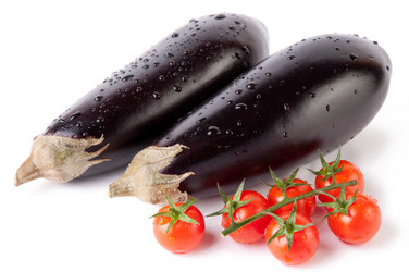 Similar image 1169464