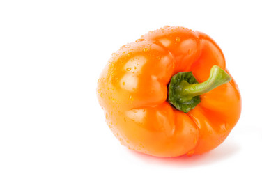 Similar image 1169465