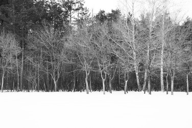 Similar image 1169467