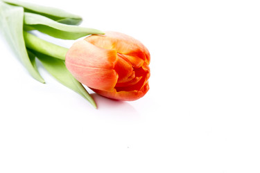 Similar image 1169495