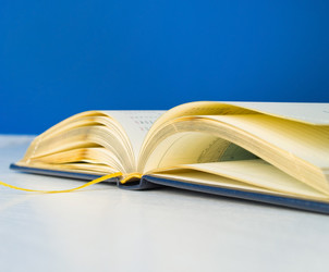 Similar image 1169524