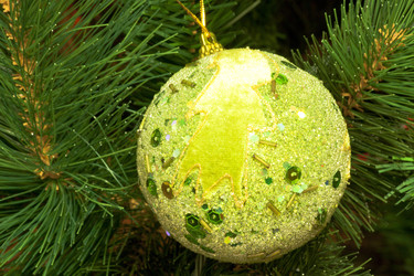 Similar image 1169557