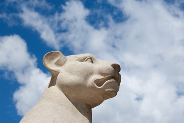 Similar image 1169565