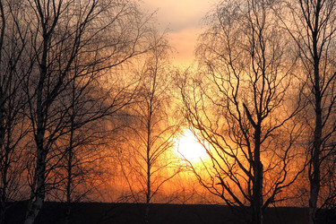 Similar image 1169570