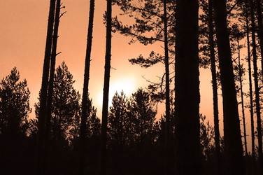 Similar image 1169595