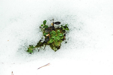 Similar image 1169597