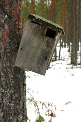 Similar image 1169598