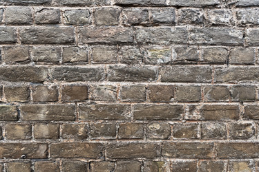 Similar image 1169613