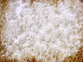 Similar image 1169764