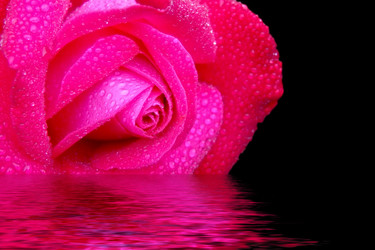 Similar image 1169768