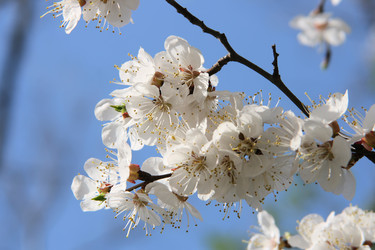 Similar image 1170253