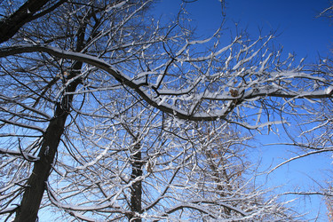 Similar image 1170257