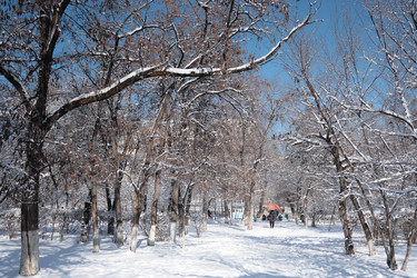 Similar image 1170259