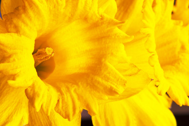 Similar image 1170282