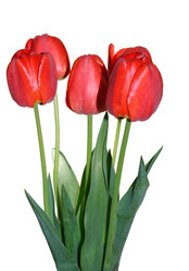 Similar image 1170283