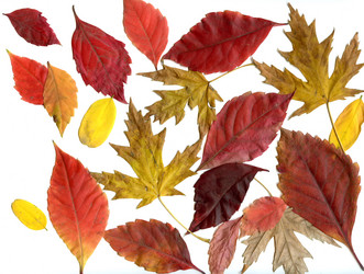 Similar image 1170284