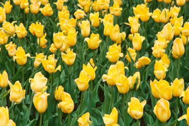 Similar image 1170286