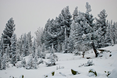 Similar image 1170307