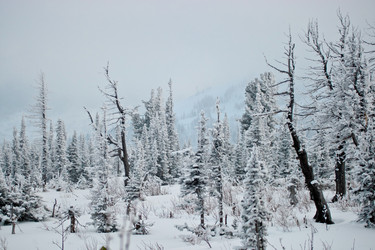 Similar image 1170308