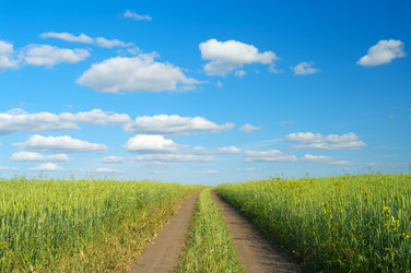 Similar image 1170378