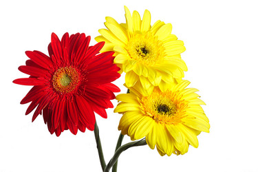 Similar image 1170473