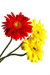 Similar image 1170474