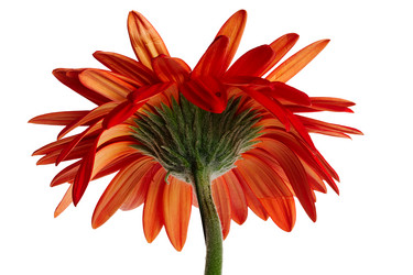 Similar image 1170476