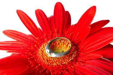 Similar image 1170479