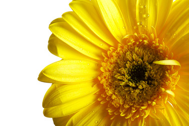 Similar image 1170483