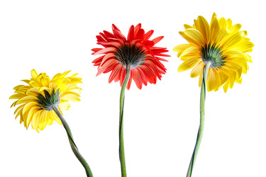 Similar image 1170486