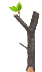 Similar image 1170500